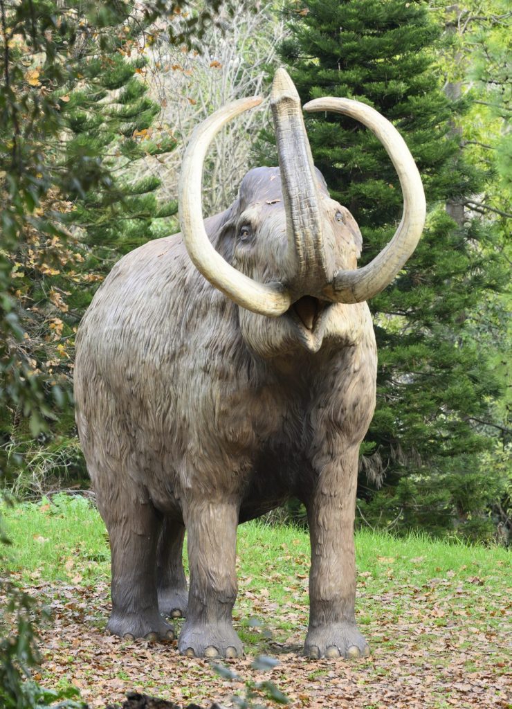 Outdoor Life-size reconstruction of extinct  mammoth