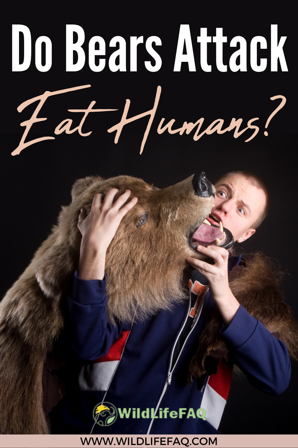 Do Bears Attack/Eat Humans? (Answered) WildLifeFAQ