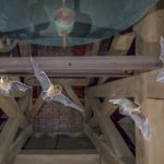 four flying pipistrelle bats in church tower W4QRLQT