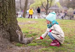 little girl feeds a squirrel in central park new y ZAKET88 scaled e1619727870543