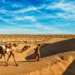 cameleer camel driver with camels in dunes of thar U2DF9A8