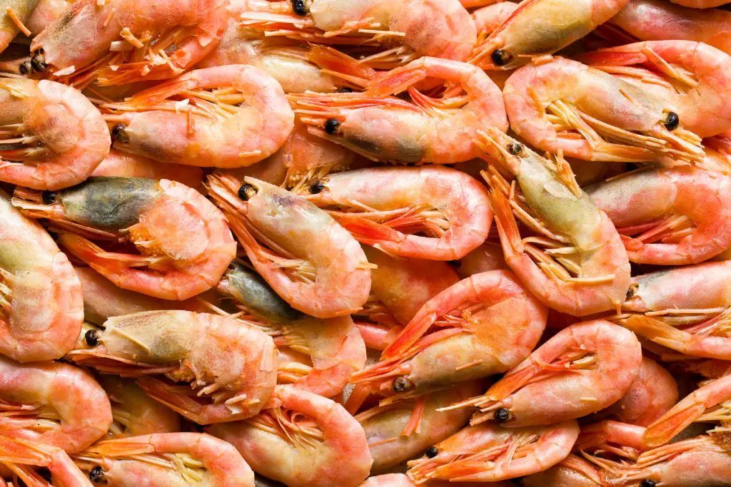 Shrimps