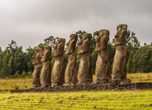 What Animals Live On Easter Island? ???? (Big List)