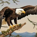 do bald eagles eat smaller birds