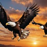 do bald eagles fight each other