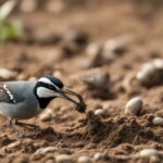 Do Birds Eat Worms? Uncover Facts About Bird Diets