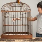 Do Pet Birds Poop Everywhere? Your Ultimate Guide