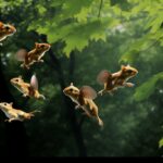 flying squirrel population trends