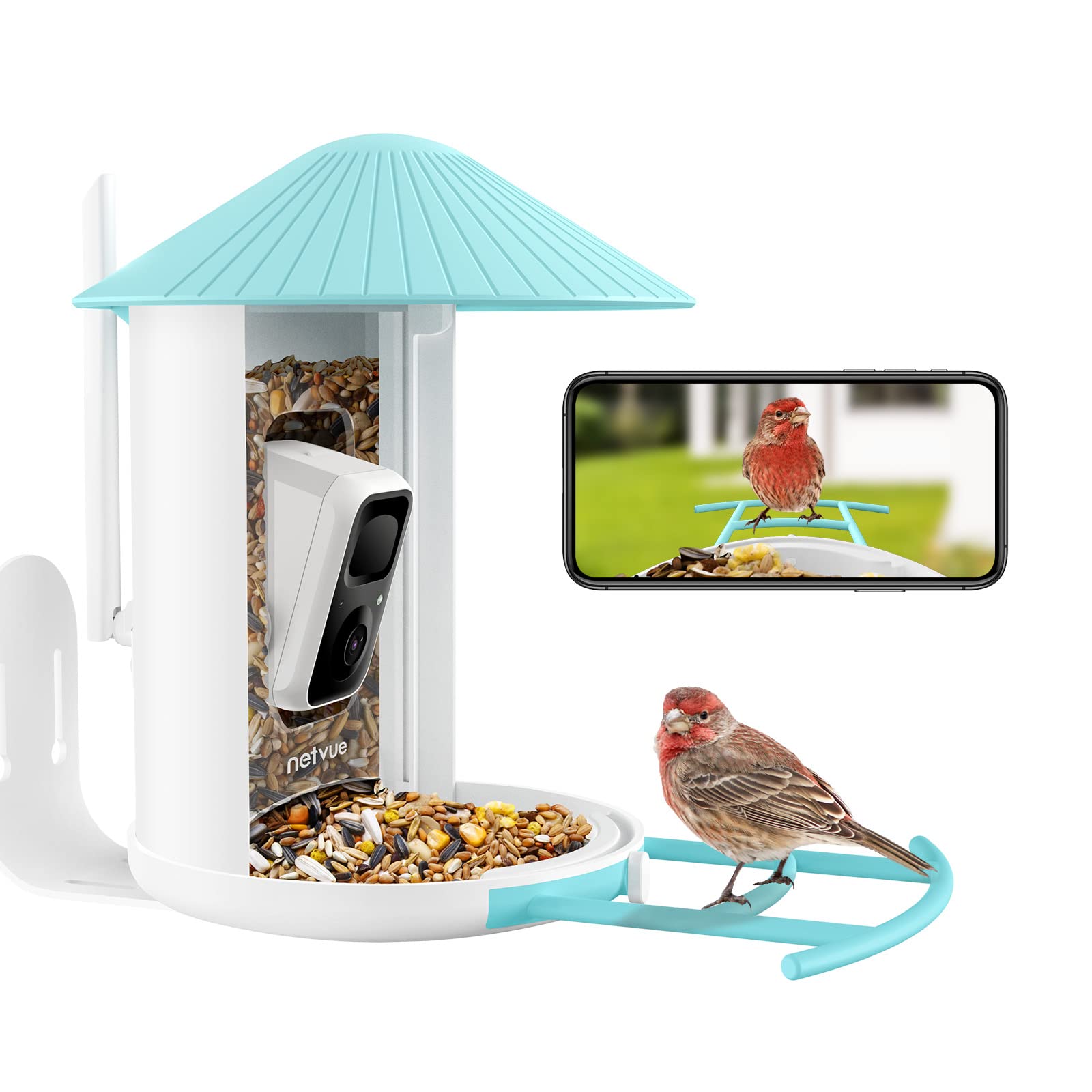 Best Bird Feeder with Camera: Top Picks for 2023