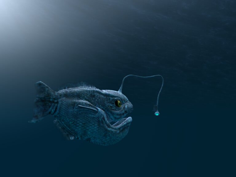 Do Anglerfish Still Exist? Exploring the Current Status of This ...