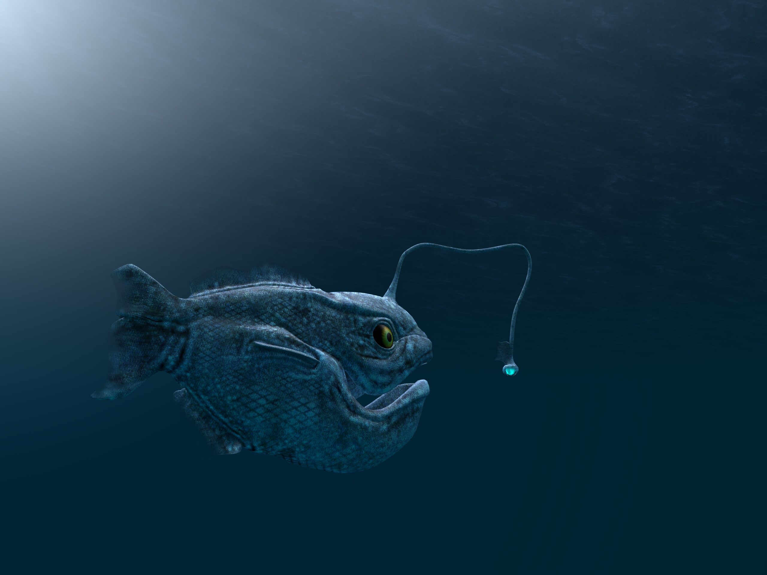 Anglerfish XL scaled