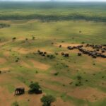 How do human-elephant conflicts impact elephant populations?