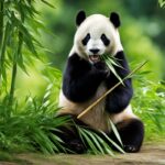 What types of bamboo do giant pandas prefer to eat?