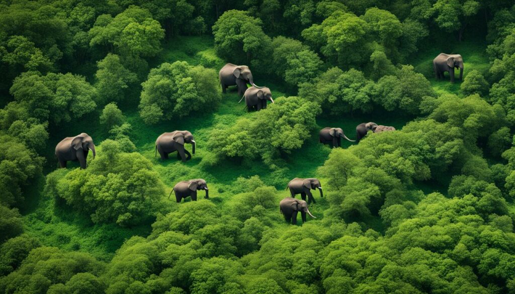 Satellite Technology in Elephant Conservation