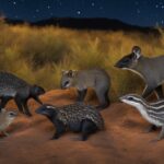 What are the most common nocturnal animals in the USA?