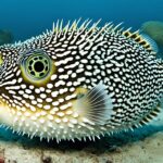 Are pufferfish endangered?