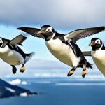 Can penguins fly?