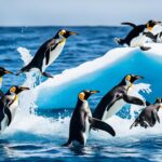 How do penguins hunt for food?