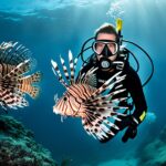 Are lionfish dangerous to humans?