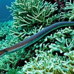 Are sea snakes endangered?