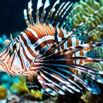 How do lionfish hunt?